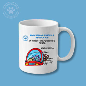 IN AUTO TRASPORTINO O GRATA